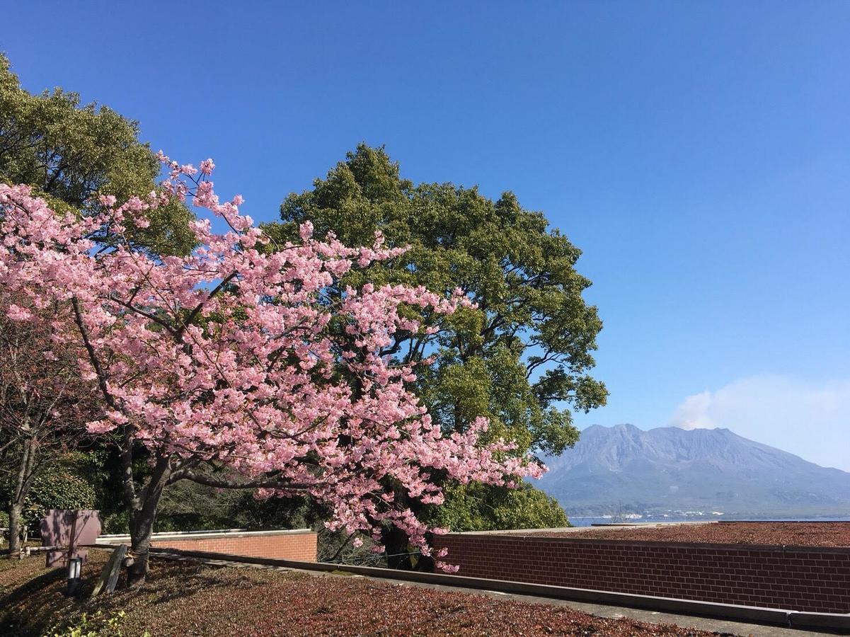 Shiroyama Hotel Kagoşima Dış mekan fotoğraf